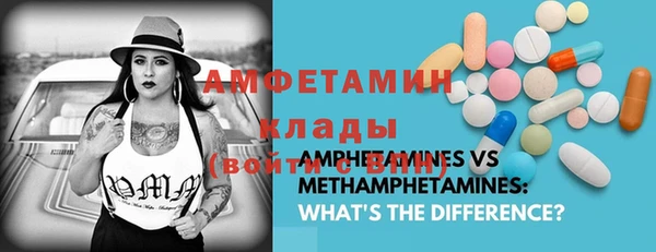 твердый Магас
