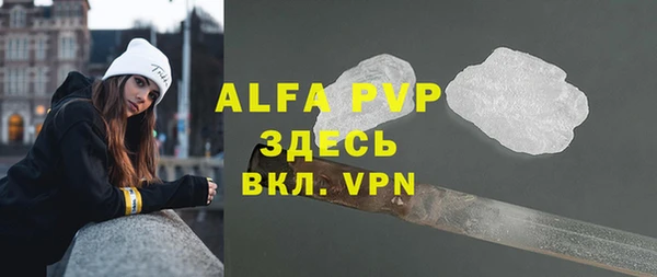 твердый Магас