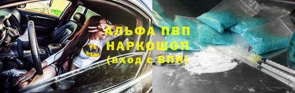 гидра Майский