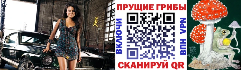 Псилоцибиновые грибы Cubensis  Сясьстрой 