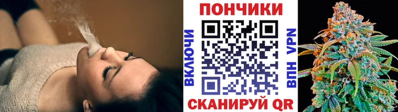 ссылка на мегу ссылка  купить наркотики цена  Сясьстрой  Бошки марихуана AK-47 